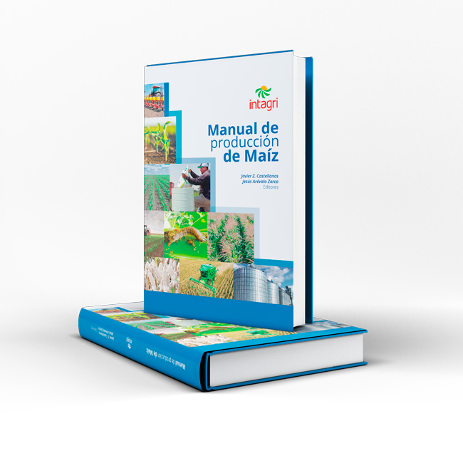 Manual de maíz